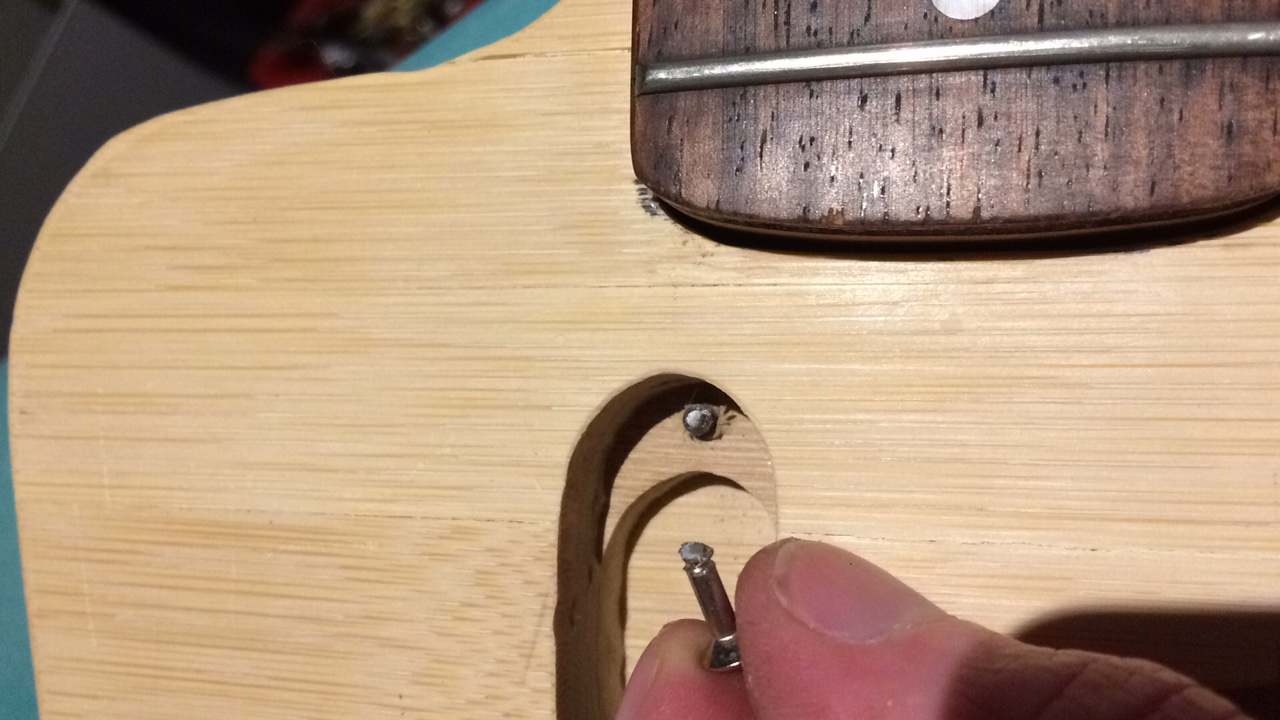 Snapped screw in guitar